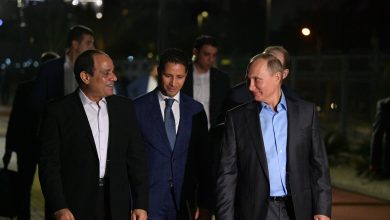 «بوتين» يعظّم دور الإمارات لدعم المشروعات «الروسية المصرية»