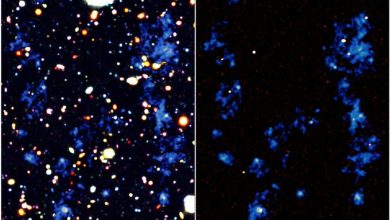 رصد "الشبكة الكونية" وتولد المجرات والثقوب السوداء