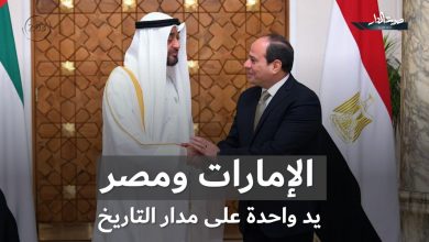 محمد بن زايد يصافح السيسي ليدل على قوة العلاقة بين الإمارات ومصر