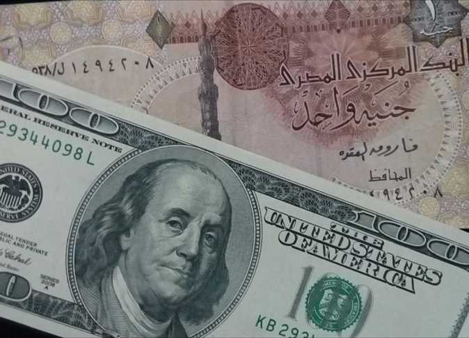 الدولار الأمريكي والجنية المصري