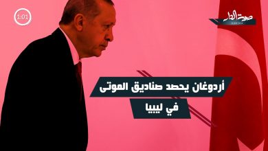 الرئيس التركي رجب طيب أردوغان وعلم تركيا