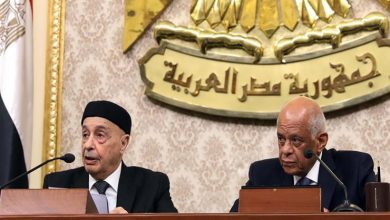 رئيس البرلمان المصري والليبي
