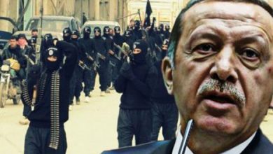 أردوغان والجماعات الإرهابية